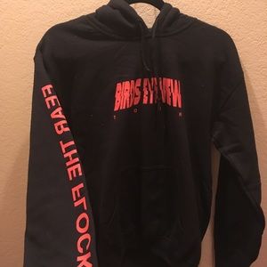 Travis Scott Birds Eye View Tour